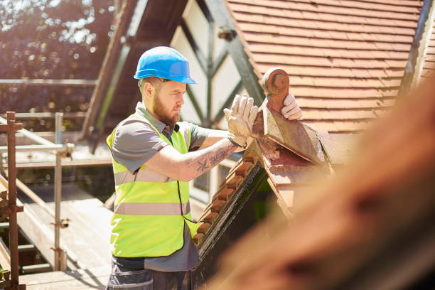 Best Storm Damage Roof Repair  in Locust, NC